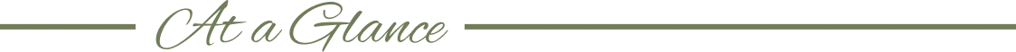 A horizontal line with a decorative, symmetrical geometric pattern in the center, featuring overlapping shapes and rectangles in gray and olive green—perfect for enhancing materials for Heitman House, the best Fort Myers wedding venue. A horizontal line with a decorative, symmetrical geometric pattern in the center, featuring overlapping shapes and rectangles in gray and olive green—perfect for enhancing materials for Heitman House, the best Fort Myers wedding venue.
